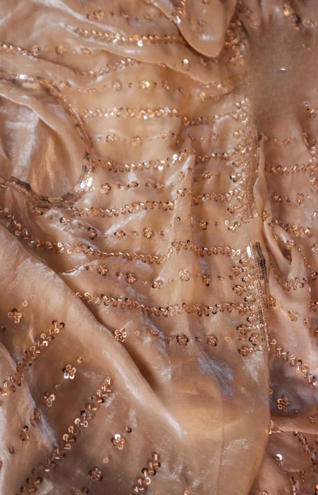 Beige Silk Saree Roohri